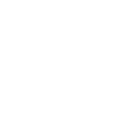 Bienvenido a Ink Zenith